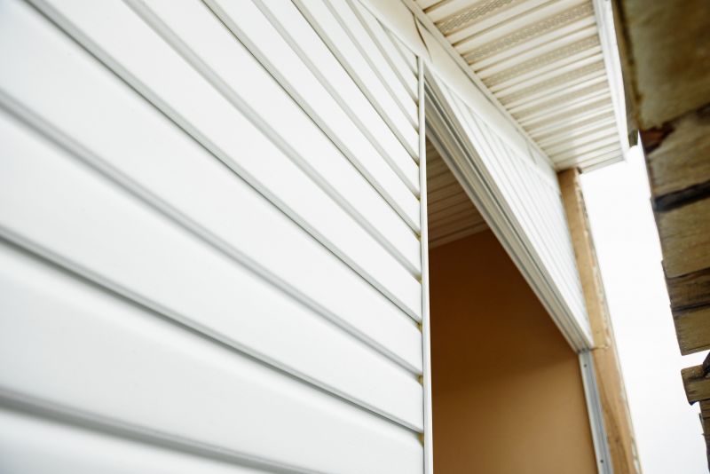 Vinyl Siding Repair Professional Image 1