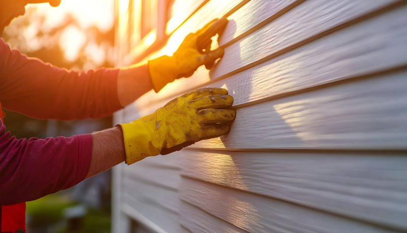 Vinyl Siding Repair Professional Image 3