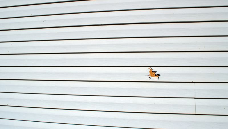 Vinyl Siding Repair Final Image 2